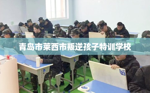 青岛市莱西市叛逆孩子特训学校 青岛市莱西市叛逆孩子特训学校