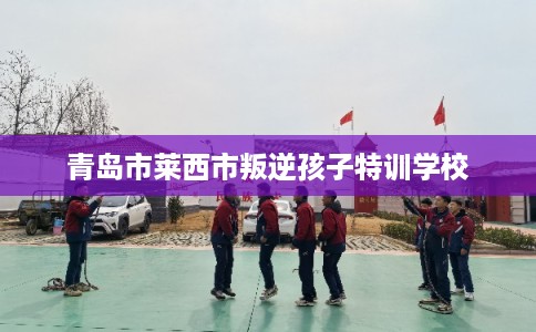 青岛市莱西市叛逆孩子特训学校 青岛市莱西市叛逆孩子特训学校