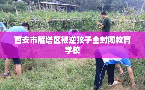 西安市雁塔区叛逆孩子全封闭教育学校 西安市雁塔区叛逆孩子全封闭教育学校