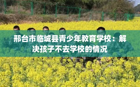 邢台市临城县青少年教育学校：解决孩子不去学校的情况