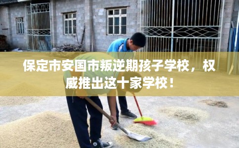 保定市安国市叛逆期孩子学校,权威推出这十家学校! 保定市安国市叛逆期孩子学校,权威推出这十家学校!