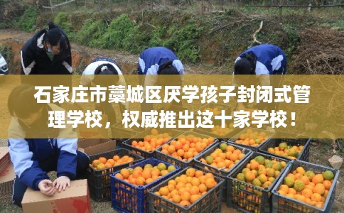 石家庄市藁城区厌学孩子封闭式管理学校，权威推出这十家学校！