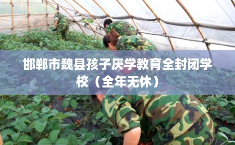 邯郸市魏县孩子厌学教育全封闭学校(全年无休) 邯郸市魏县孩子厌学教育全封闭学校(全年无休)