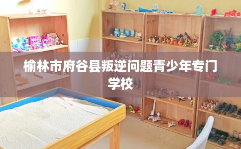 榆林市府谷县叛逆问题青少年专门学校 榆林市府谷县叛逆问题青少年专门学校