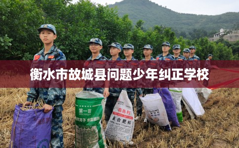 衡水市故城县问题少年纠正学校