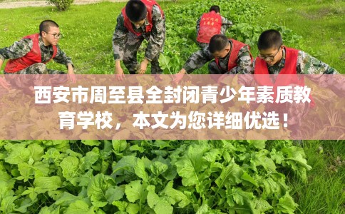西安市周至县全封闭青少年素质教育学校，本文为您详细优选！