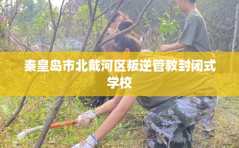秦皇岛市北戴河区叛逆管教封闭式学校