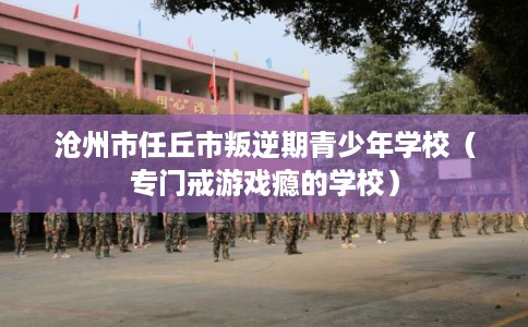 沧州市任丘市叛逆期青少年学校（专门戒游戏瘾的学校）