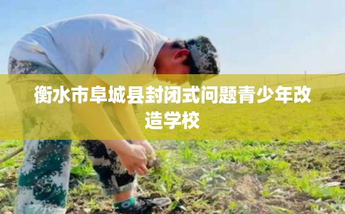 衡水市阜城县封闭式问题青少年改造学校 衡水市阜城县封闭式问题青少年改造学校