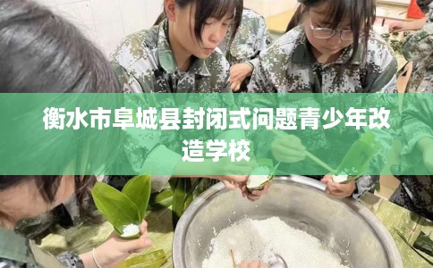 衡水市阜城县封闭式问题青少年改造学校 衡水市阜城县封闭式问题青少年改造学校