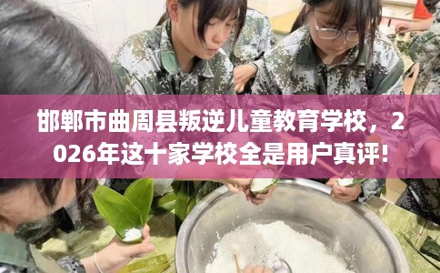 邯郸市曲周县叛逆儿童教育学校，2026年这十家学校全是用户真评!