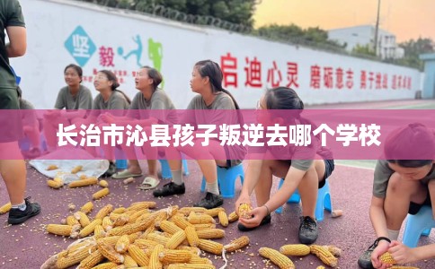 长治市沁县孩子叛逆去哪个学校 长治市沁县孩子叛逆去哪个学校
