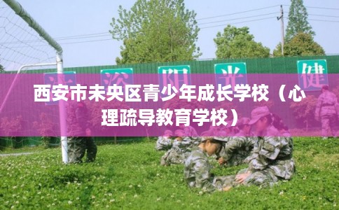 西安市未央区青少年成长学校（心理疏导教育学校）