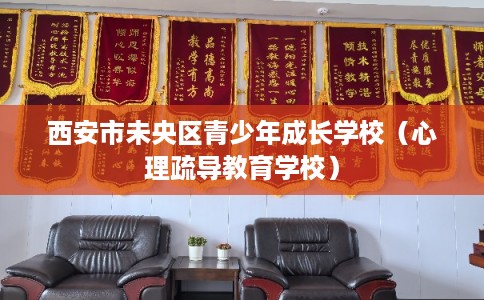 西安市未央区青少年成长学校（心理疏导教育学校）