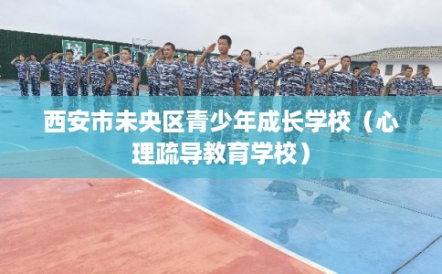西安市未央区青少年成长学校（心理疏导教育学校）