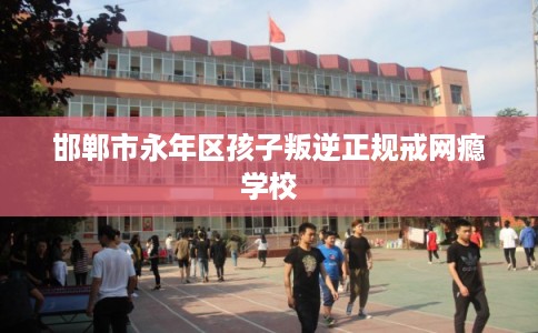 邯郸市永年区孩子叛逆正规戒网瘾学校 邯郸市永年区孩子叛逆正规戒网瘾学校