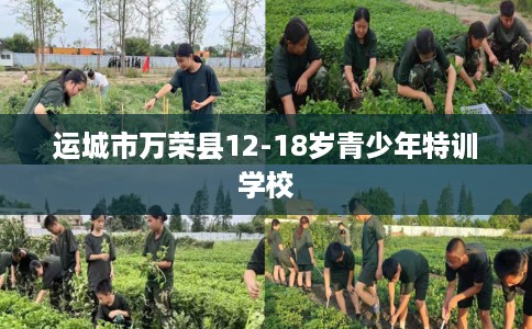 运城市万荣县12-18岁青少年特训学校 运城市万荣县12-18岁青少年特训学校