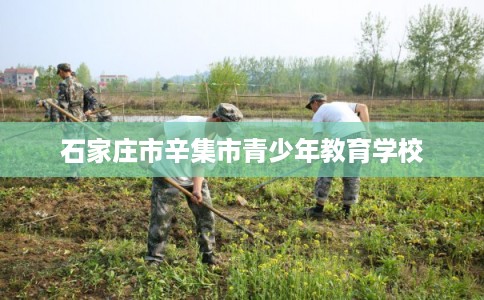 石家庄市辛集市青少年教育学校 石家庄市辛集市青少年教育学校