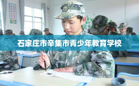 石家庄市辛集市青少年教育学校 石家庄市辛集市青少年教育学校