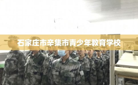 石家庄市辛集市青少年教育学校 石家庄市辛集市青少年教育学校
