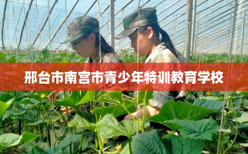 邢台市南宫市青少年特训教育学校