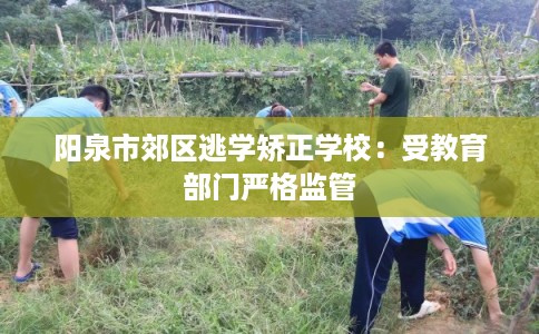 阳泉市郊区逃学矫正学校：受教育部门严格监管
