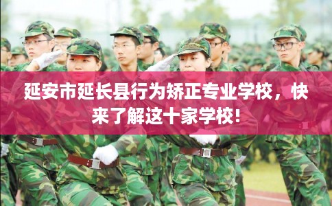 延安市延长县行为矫正专业学校，快来了解这十家学校!