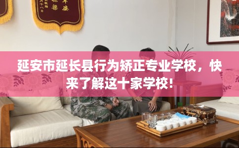 延安市延长县行为矫正专业学校，快来了解这十家学校!