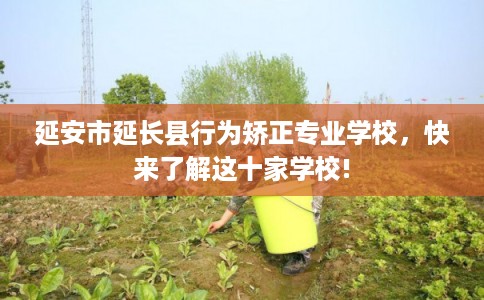 延安市延长县行为矫正专业学校，快来了解这十家学校!