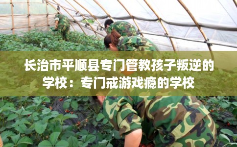 长治市平顺县专门管教孩子叛逆的学校：专门戒游戏瘾的学校