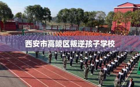 西安市高陵区叛逆孩子学校