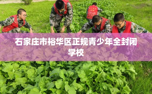 石家庄市裕华区正规青少年全封闭学校