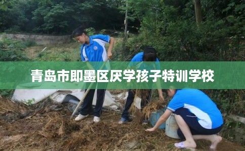 青岛市即墨区厌学孩子特训学校