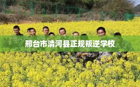邢台市清河县正规叛逆学校