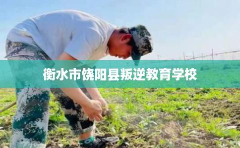 衡水市饶阳县叛逆教育学校