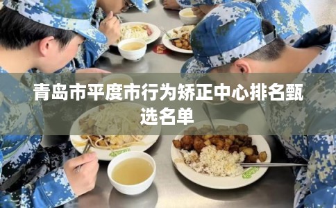 青岛市平度市行为矫正中心排名甄选名单 青岛市平度市行为矫正中心排名甄选名单
