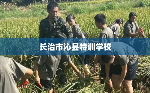 长治市沁县特训学校 长治市沁县特训学校