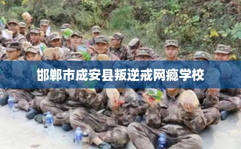 邯郸市成安县叛逆戒网瘾学校