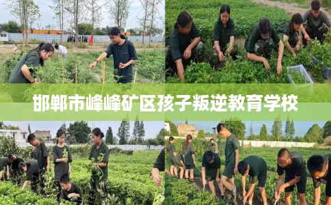 邯郸市峰峰矿区孩子叛逆教育学校 邯郸市峰峰矿区孩子叛逆教育学校