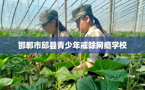 邯郸市邱县青少年戒除网瘾学校