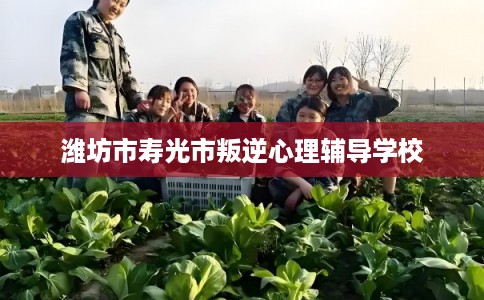 潍坊市寿光市叛逆心理辅导学校