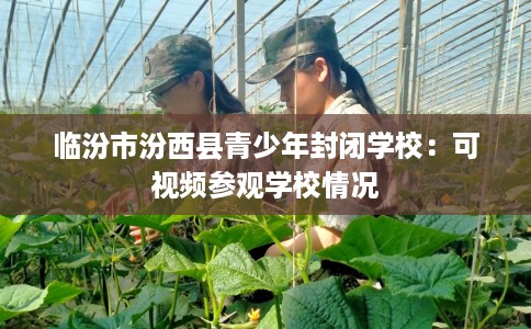 临汾市汾西县青少年封闭学校:可视频参观学校情况 临汾市汾西县青少年封闭学校:可视频参观学校情况