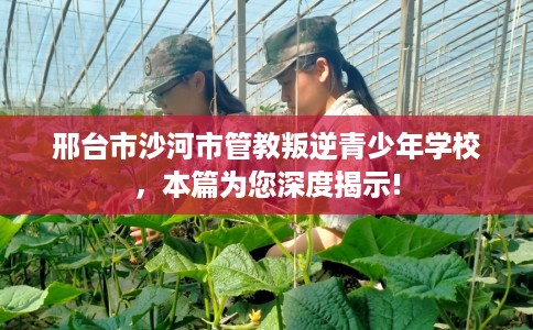 邢台市沙河市管教叛逆青少年学校，本篇为您深度揭示!