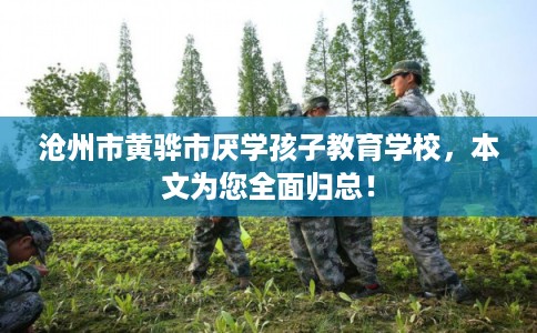沧州市黄骅市厌学孩子教育学校，本文为您全面归总！