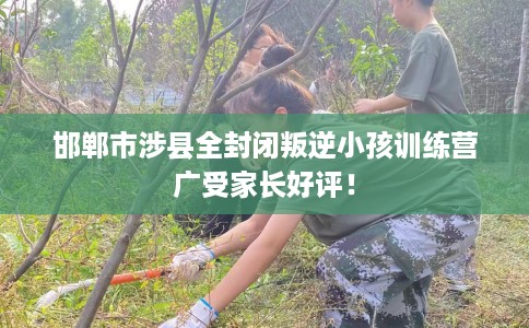 邯郸市涉县全封闭叛逆小孩训练营广受家长好评！