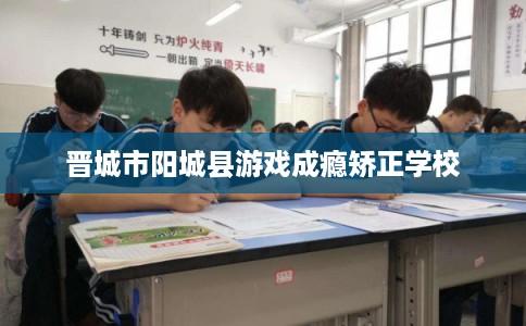 晋城市阳城县游戏成瘾矫正学校
