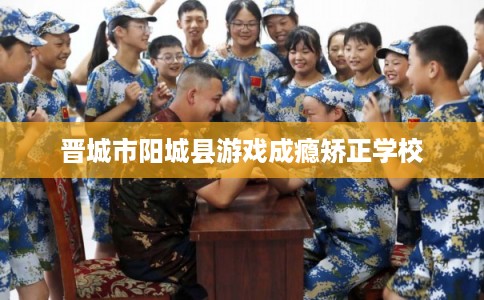 晋城市阳城县游戏成瘾矫正学校
