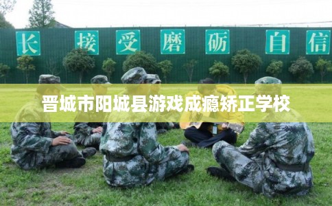 晋城市阳城县游戏成瘾矫正学校