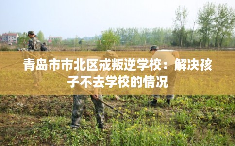 青岛市市北区戒叛逆学校:解决孩子不去学校的情况 青岛市市北区戒叛逆学校:解决孩子不去学校的情况