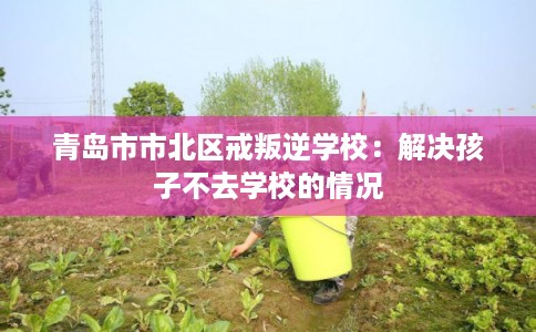 青岛市市北区戒叛逆学校:解决孩子不去学校的情况 青岛市市北区戒叛逆学校:解决孩子不去学校的情况